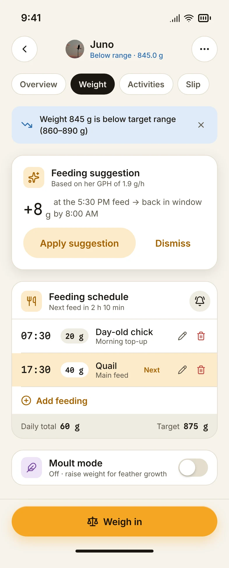 Sheets / Feeding · Schedule card