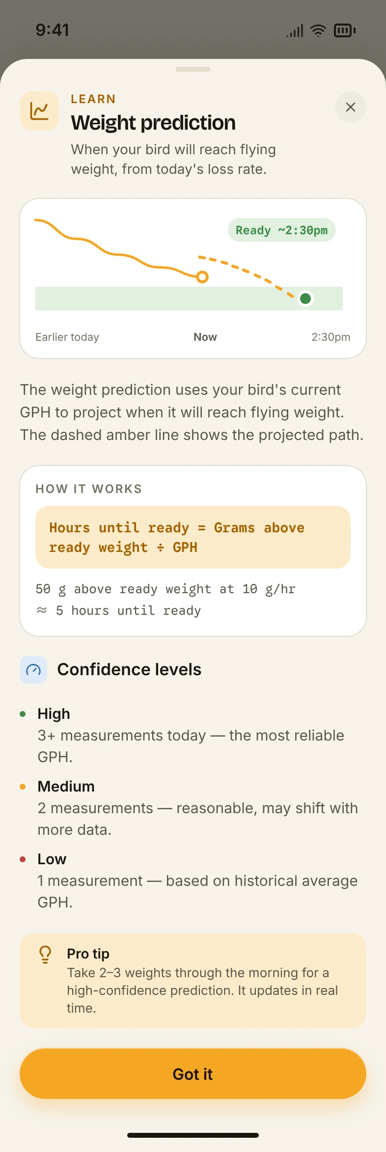 Sheets / Prediction education