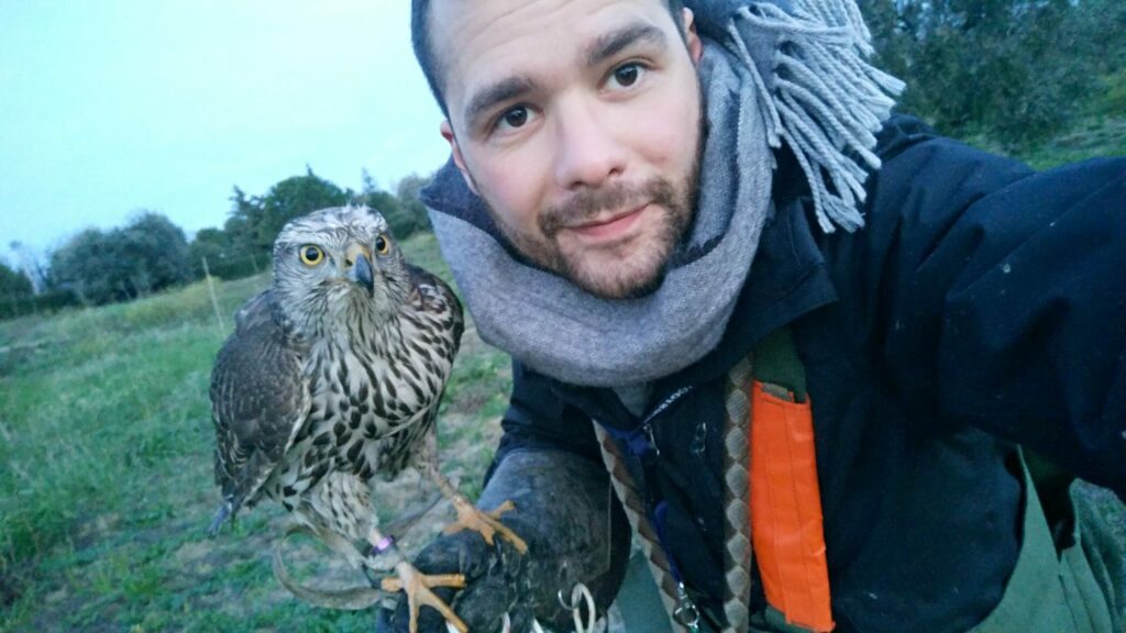 Davide Del Gatto with his Goshawk Lord